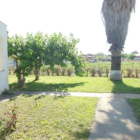 Helonata * 아르쿠디