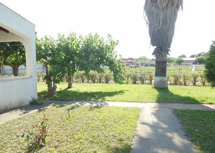 Helonata * 아르쿠디