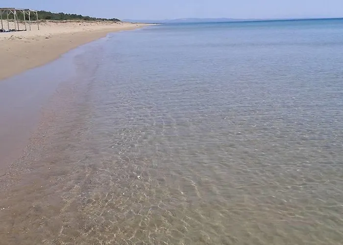 Helonata * 아르쿠디