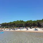 Helonata * ארקודי