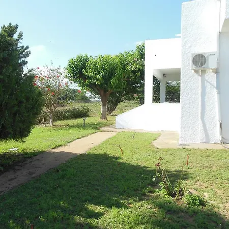 Helonata アルコウディ