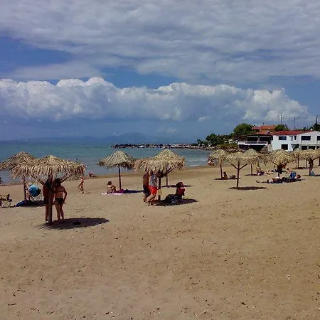 Helonata * アルコウディ