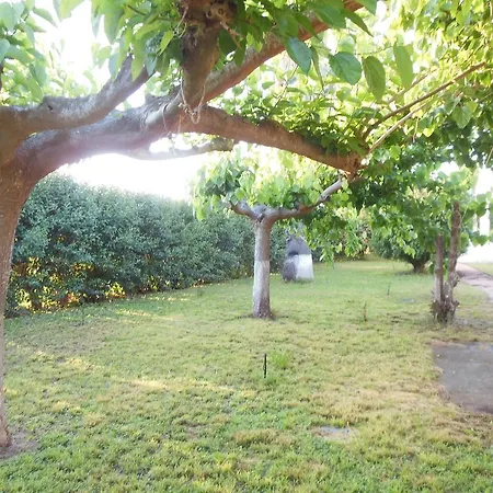Apartment Helonata