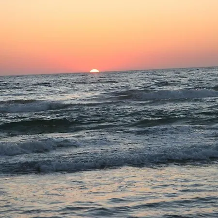 Helonata アルコウディ