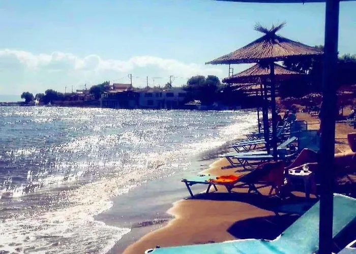 Helonata Apartamento